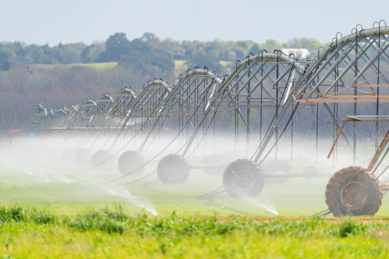 The TexasET app can help farmers optimize their irrigation timing. The app calculates crop-specific water recommendations based on a plant’s growth stage. (Michael Miller/Texas A&M AgriLife)