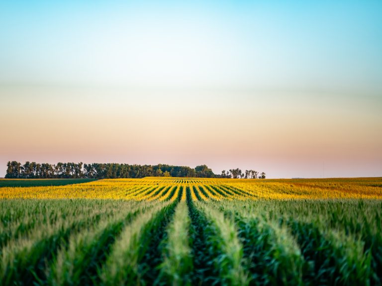 (Photo courtesy of National Corn Growers Association.)