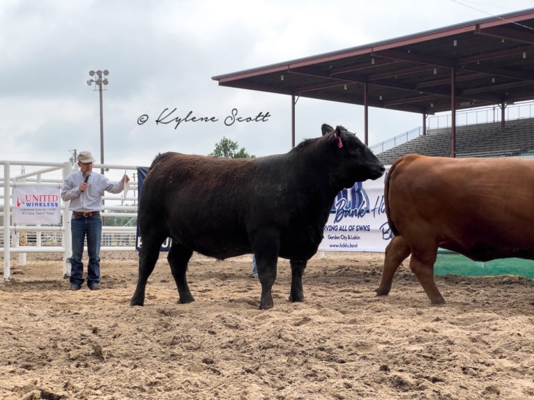 Kelly Bruns talks his top 5 heifer choices during the Beef Empire Days Live Show June 4 in Garden City, Kansas. (Journal photo by Kylene Scott.)