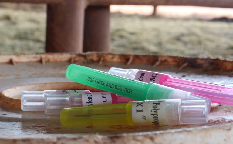 Veterinarian Jeff Bender says that needle safety is important not only to animals, but to the humans that inoculate them. (Journal photo by Andrea Hanson.)