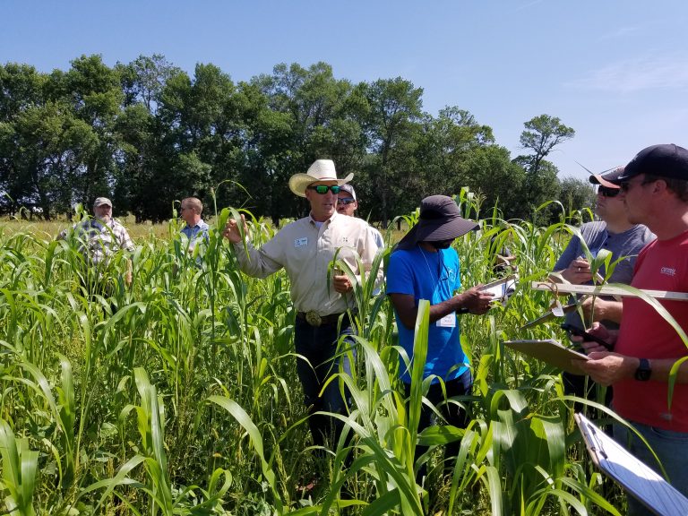 South Dakota Soil Health Coalition board chairman Shawn Freeland leads a cover crop grazing exercise during the 2023 Soil Health School. Freeland will host the 2024 West River Soil Health School, June 26 to 27, at his Dry Creek Beef Farm and Ranch near Caputa, South Dakota. (Courtesy photo.)