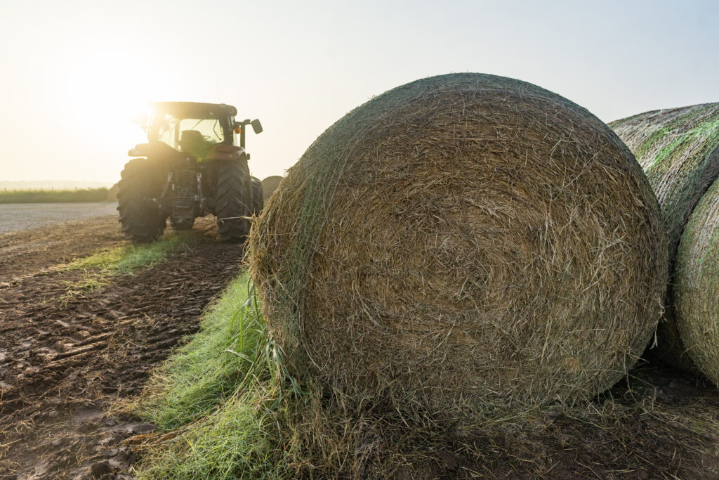 Despite record low hay inventories in Texas in 2023, prospects for higher yields this hay season are being fueled by heavy rainfall across major production regions of Texas, according to Texas A&M AgriLife Extension Service experts. (Texas A&M AgriLife)