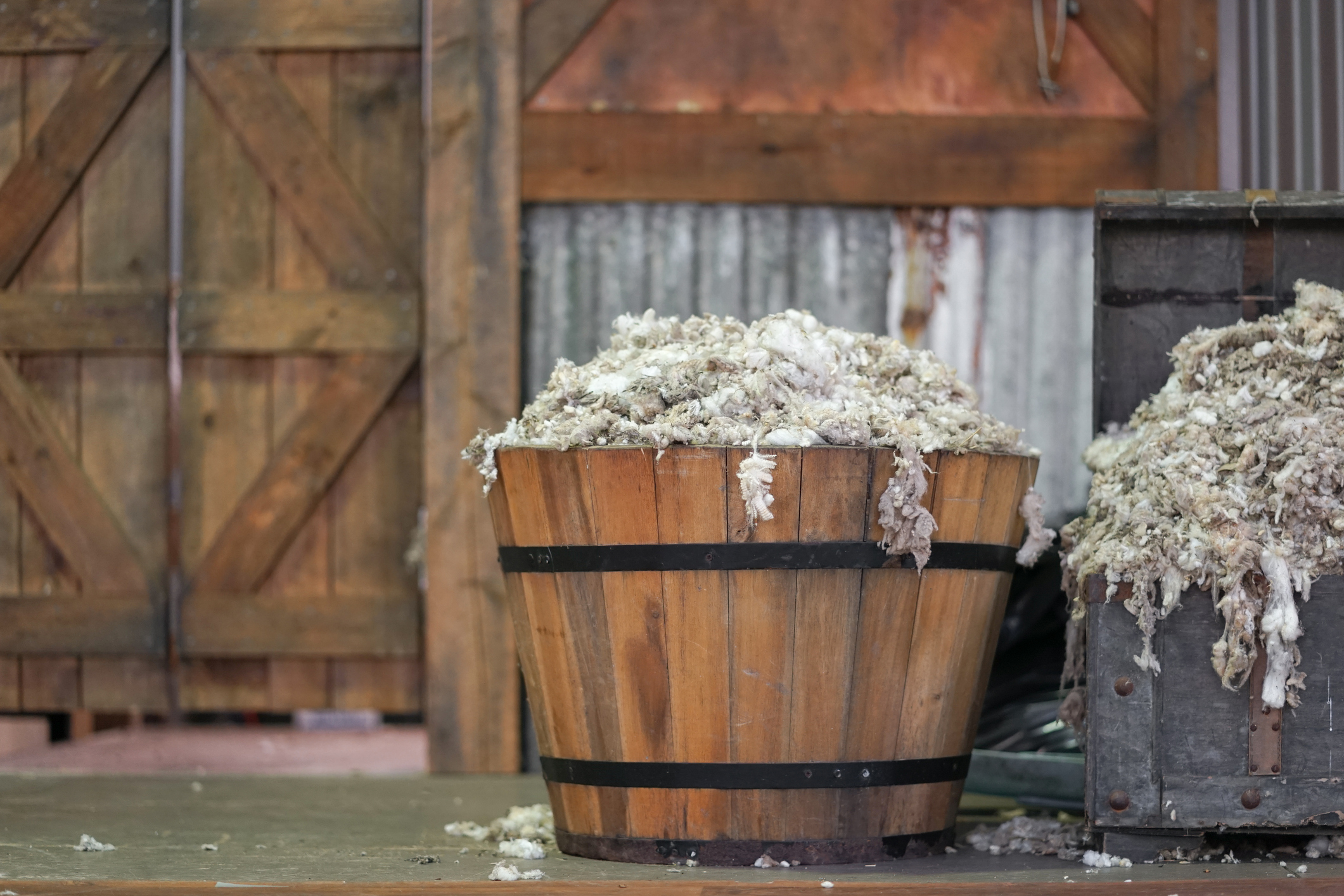 A wooden bucket full of wool after sheep shearing. (Photo: iStock - EnchantedFairy)
