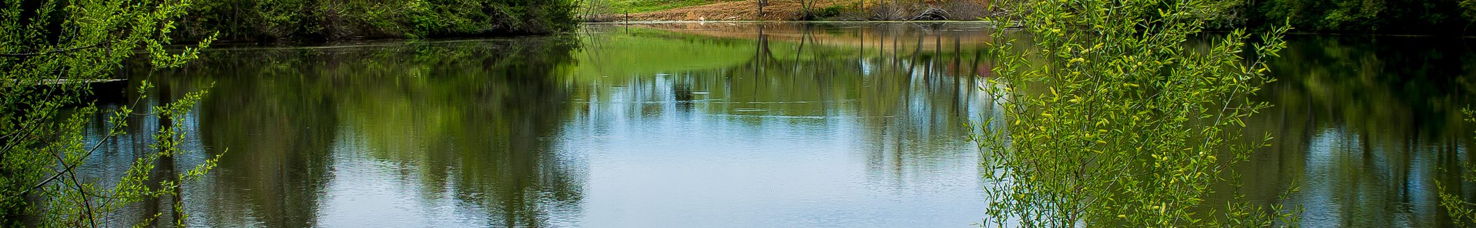 Gorgeous pond on a farm (Photo: iStock - Kendra Harrell)