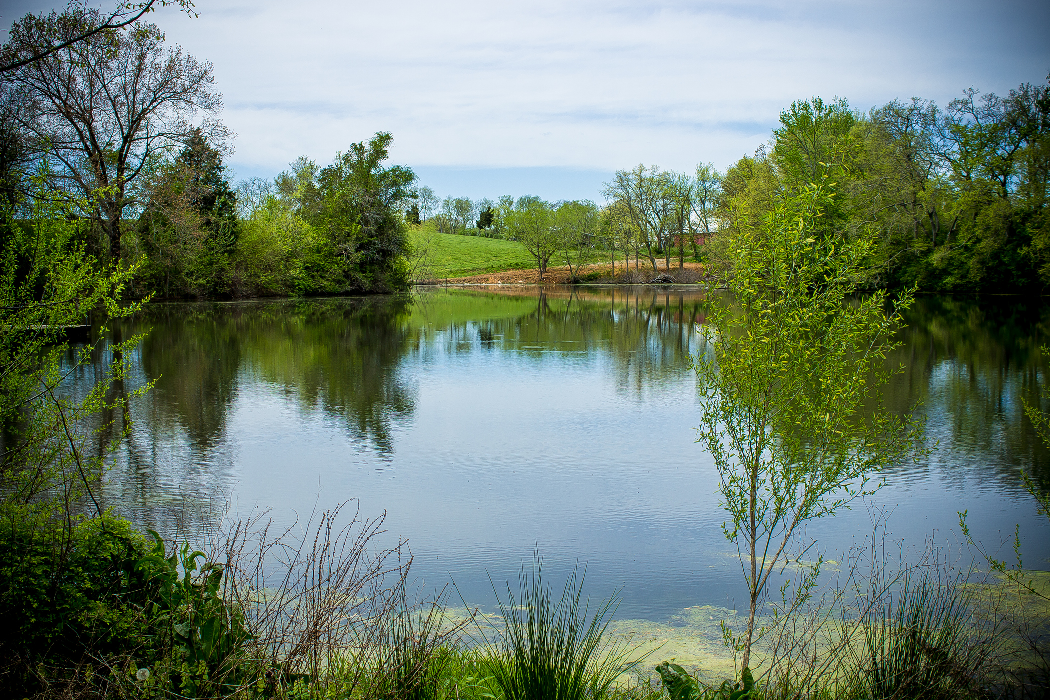 Gorgeous pond on a farm (Photo: iStock - Kendra Harrell)