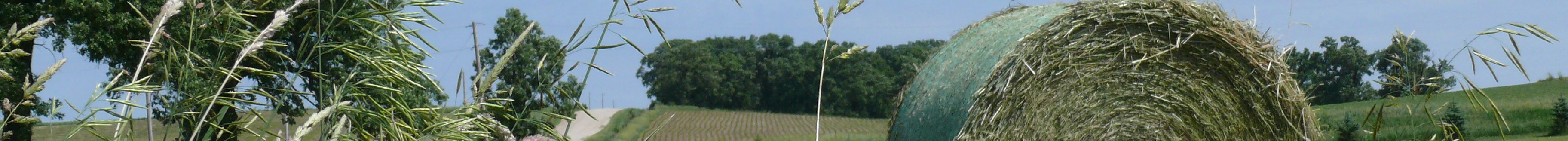 Round hay bale (Photo: Iowa State University Extension & Outreach)