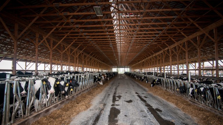(USDA Photo by Lance Cheung.)