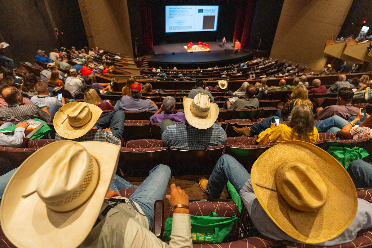 The 70th annual Texas A&M Beef Cattle Short Course is the industry’s largest event, drawing participants from around the world. (Michael Miller/Texas A&M AgriLife)