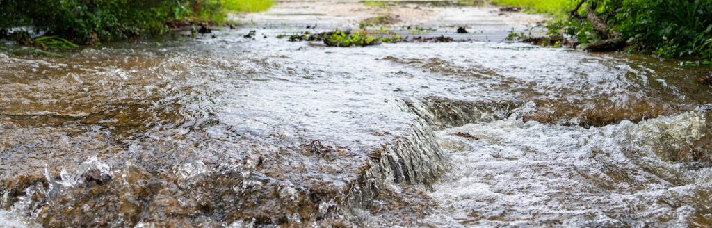 Low-lying land areas are more susceptible to flooding. Brandon Dominguez, DVM, said the first step in hurricane preparation with livestock should be to identify low-lying, flood-risk land and a high-ground evacuation area. (Michael Miller/Texas A&M AgriLife)