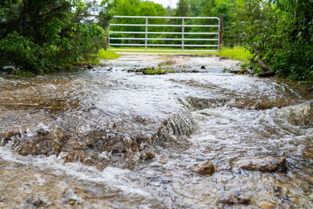 Low-lying land areas are more susceptible to flooding. Brandon Dominguez, DVM, said the first step in hurricane preparation with livestock should be to identify low-lying, flood-risk land and a high-ground evacuation area. (Michael Miller/Texas A&M AgriLife)