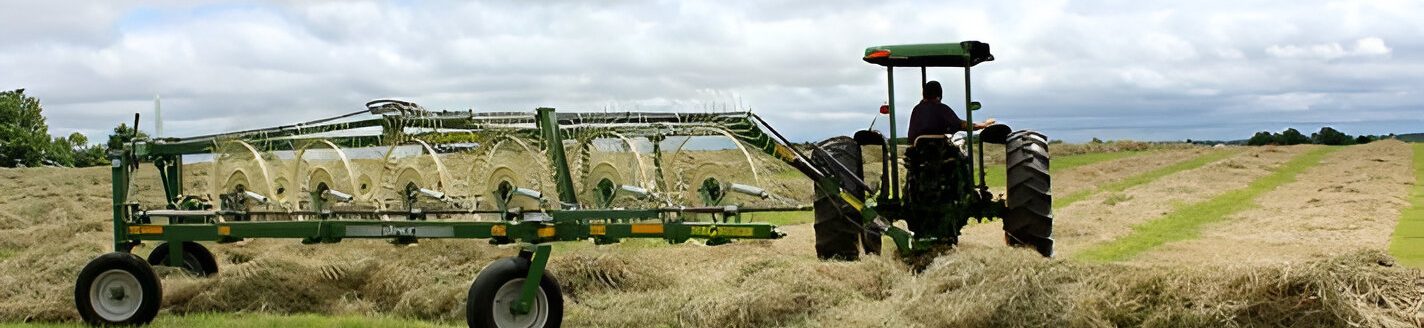 This time of year, pop-up showers and storms are a risk to hay that has been mowed but not yet baled. Keep an eye on weather forecasts and understand how different types of rainfall affect cut hay, says MU Extension agronomist Hunter Lovewell. (Photo by Linda Geist.)