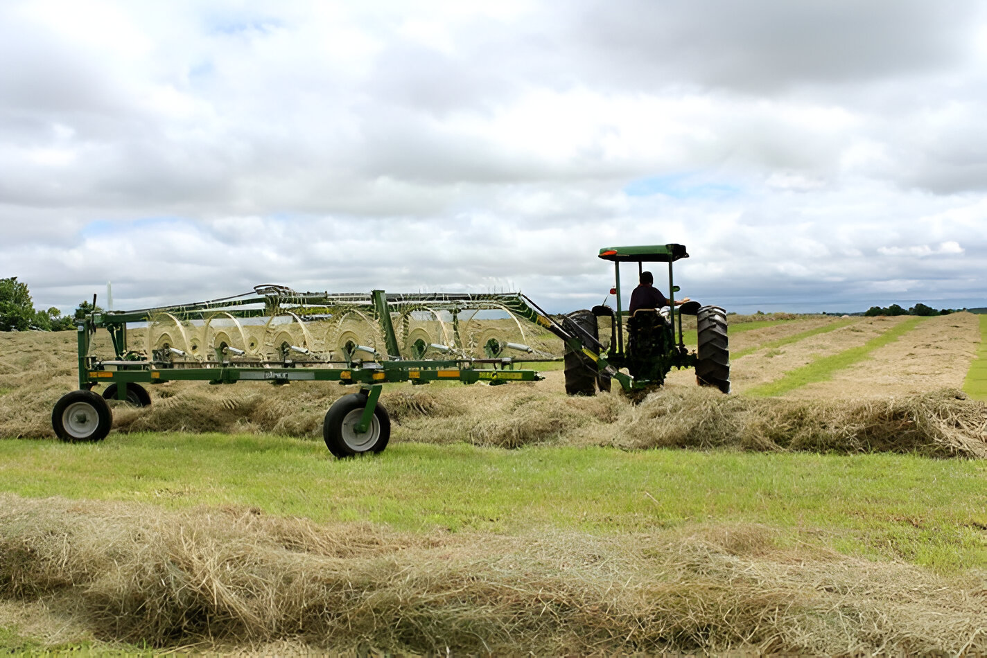 This time of year, pop-up showers and storms are a risk to hay that has been mowed but not yet baled. Keep an eye on weather forecasts and understand how different types of rainfall affect cut hay, says MU Extension agronomist Hunter Lovewell. (Photo by Linda Geist.)