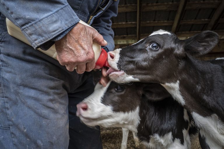 (USDA/FPAC photo by Preston Keres)
