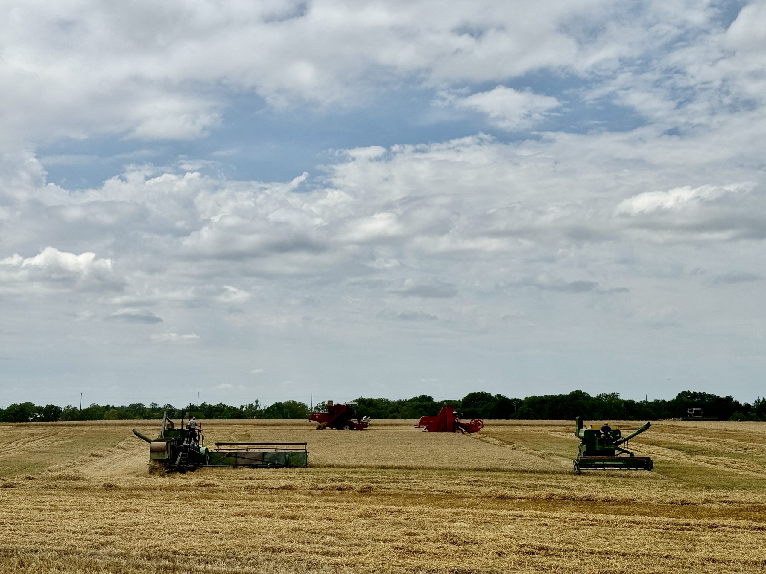 Inman, Kansas, combine demonstration on June 29 featuring vintage machines as part of a celebration marking 150 years of Turkey Red winter wheat. (Photo courtesy of Glen Ediger.)