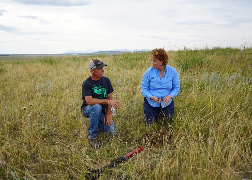 Landowner Rick Caquelin (left) and Pam Linker, NRCS District Conservationist test for soil health on a pasture at Caquelin's Ranch. (USDA NRCS Montana)