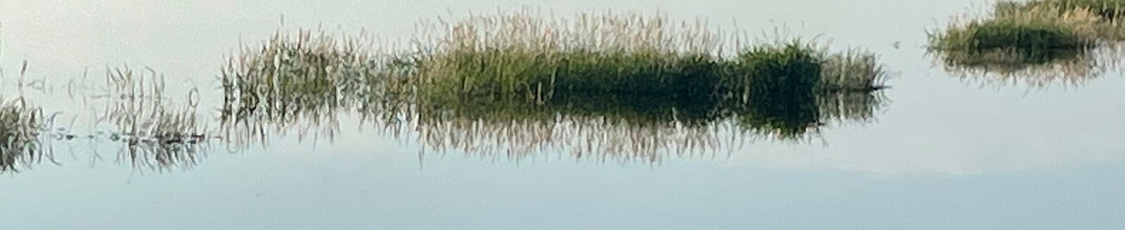 Flooded Iowa field (Photo: Iowa State University Extension and Outreach)