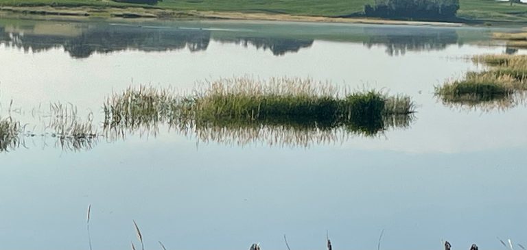 Flooded Iowa field (Photo: Iowa State University Extension and Outreach)