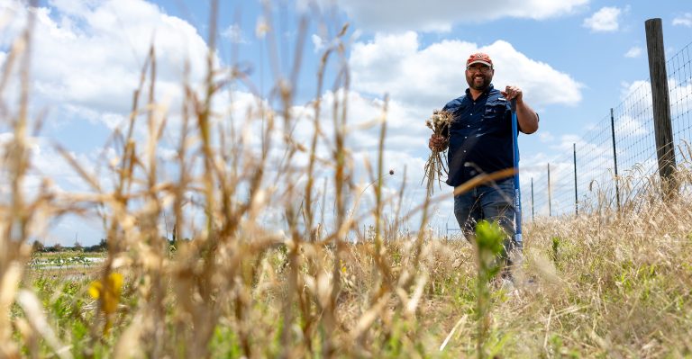 Tyler Mason, OSU Extension vegetable specialist, hopes to help vegetable producers expand their profits by growing garlic. Currently, all of the garlic grown in Oklahoma is produced by 28 growers on just nine acres. (Photo by Mitchell Alcala, OSU Agriculture)