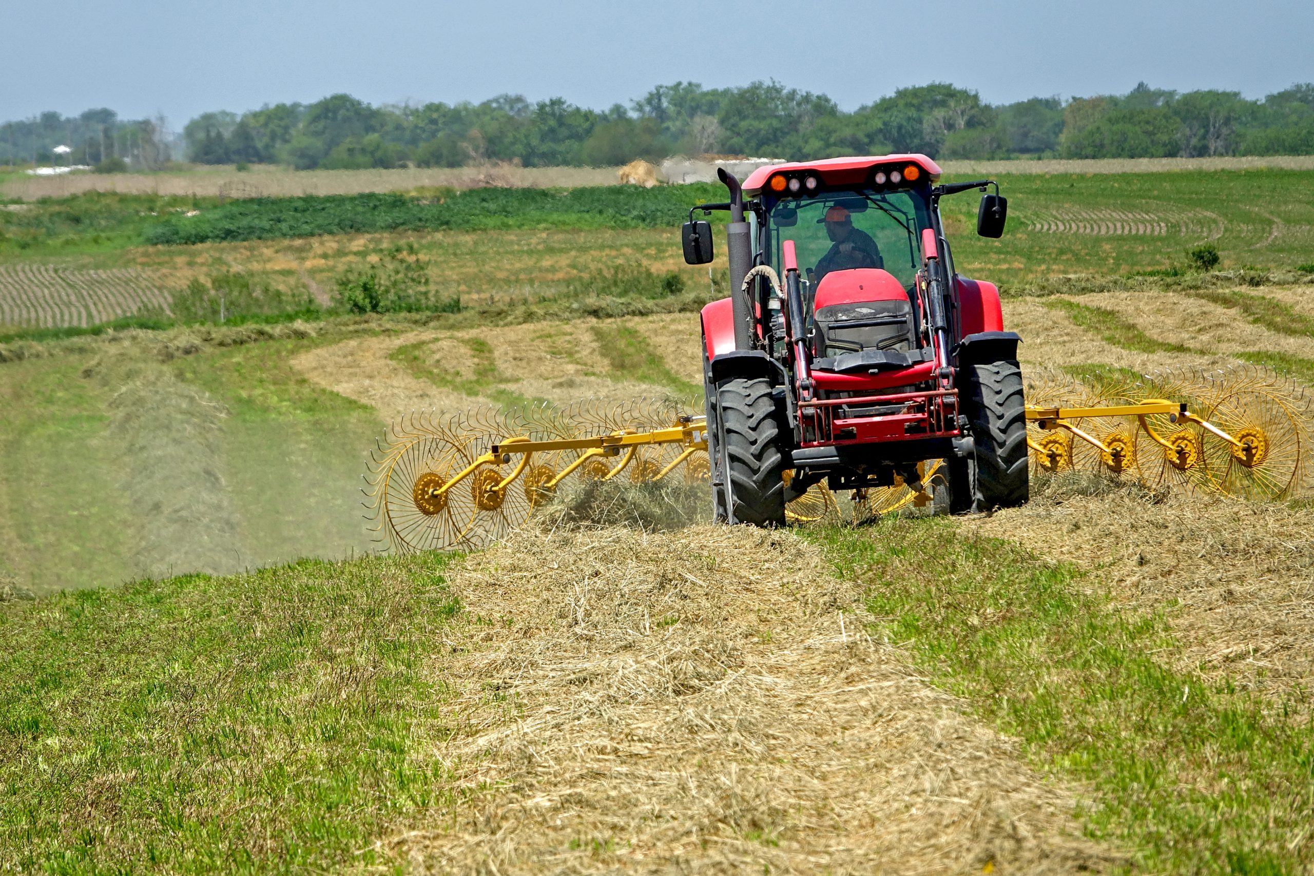 Raking hay (Photo: Iowa State University Extension and Outreach)