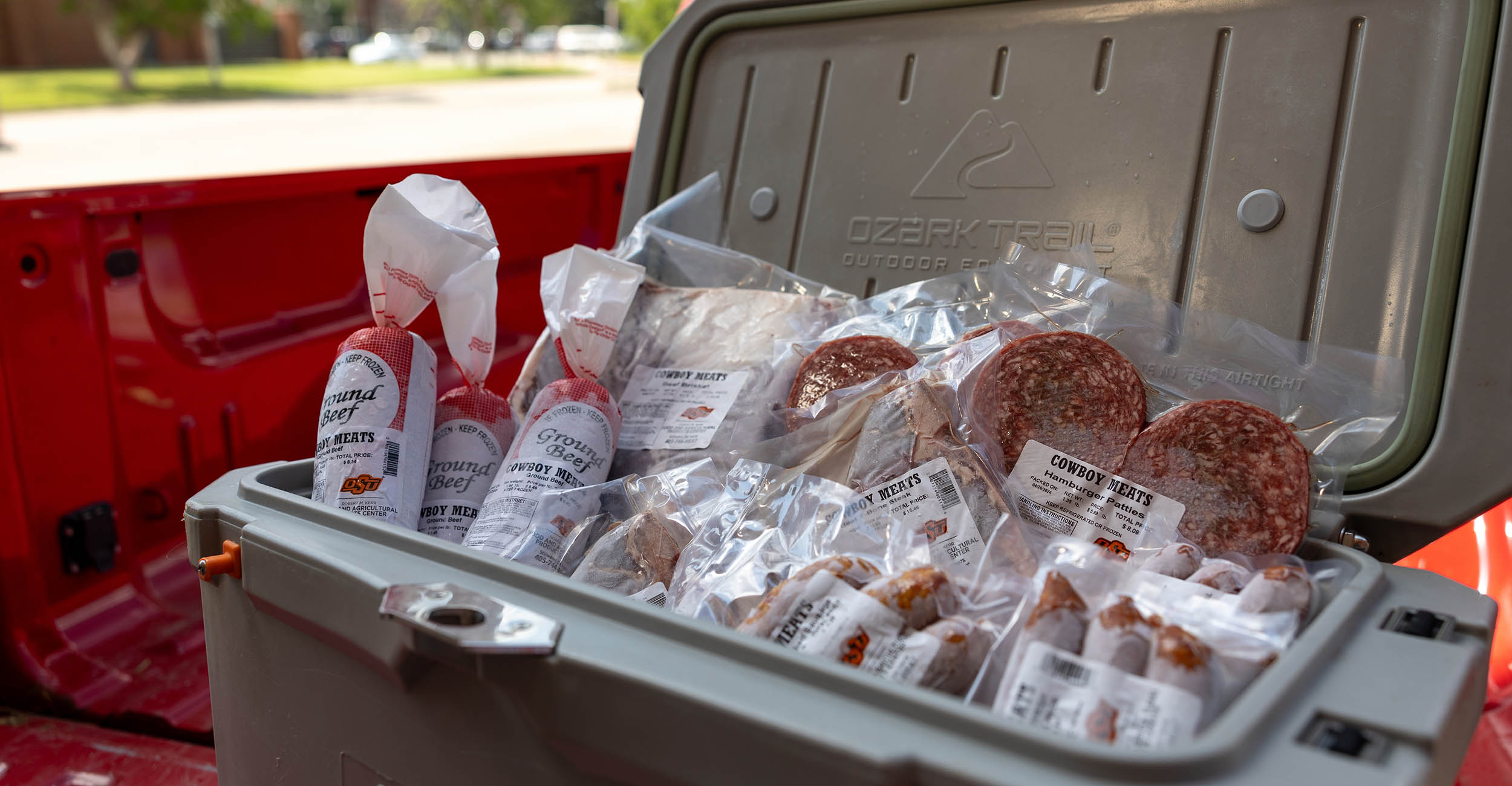 When packing foods in a cooler for a picnic or cookout, include plenty of ice or frozen gel packs to keep foods at 40 F or below. Keep drinks in a separate cooler. (Photo by Mitchell Alcala, OSU Agriculture)