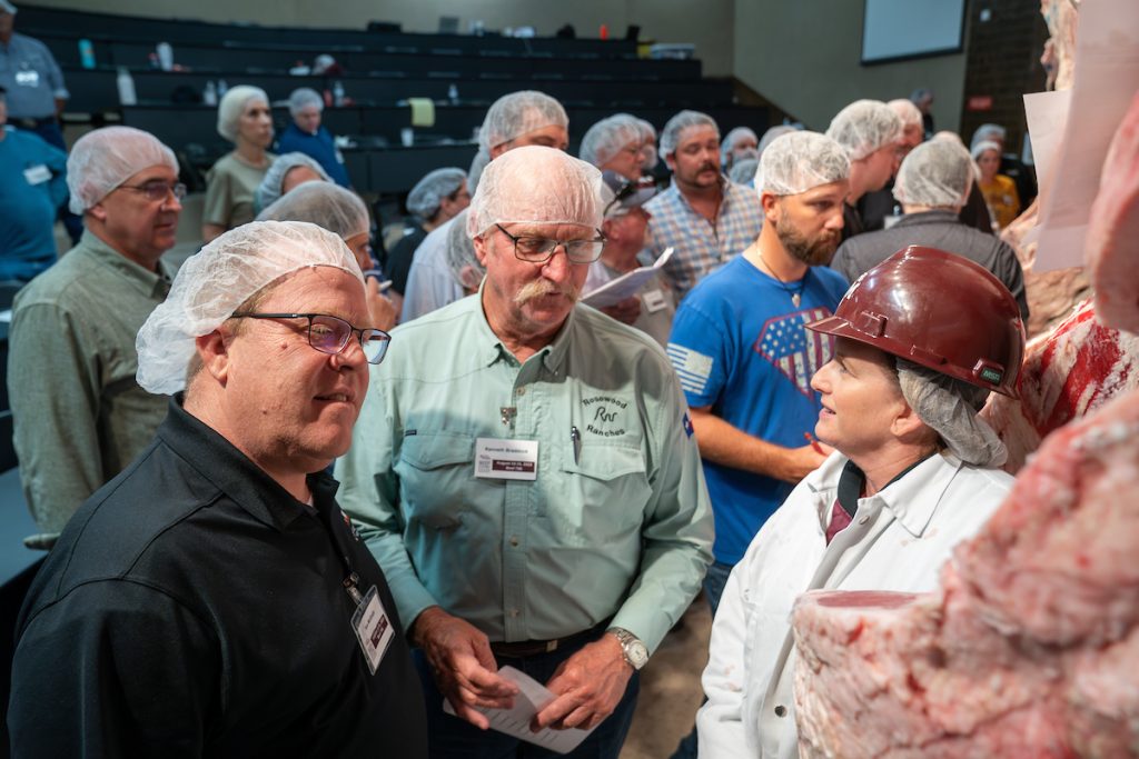 During one of the hands-on sessions of Beef 706 participants learn about grading beef. (Courtney Sacco/Texas A&M AgriLife)