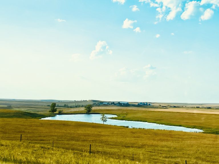 Field pond (Photo: Alissa Weece)