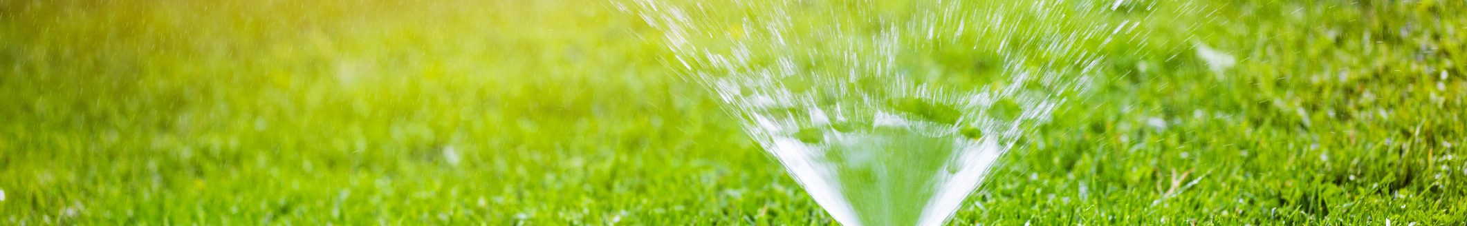 Garden sprinkler watering grass at home backyard (Photo: iStock - ronstik)