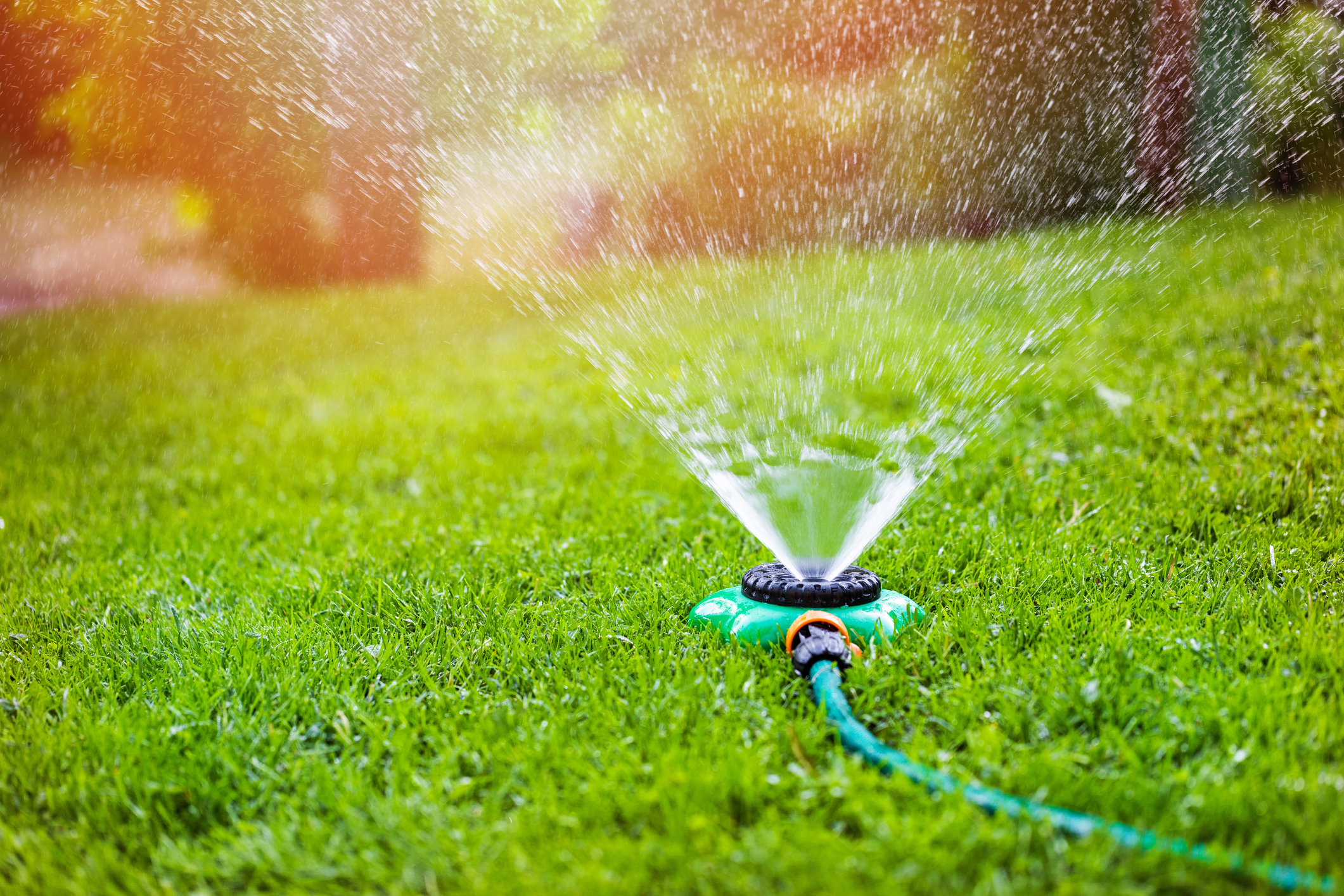 Garden sprinkler watering grass at home backyard (Photo: iStock - ronstik)