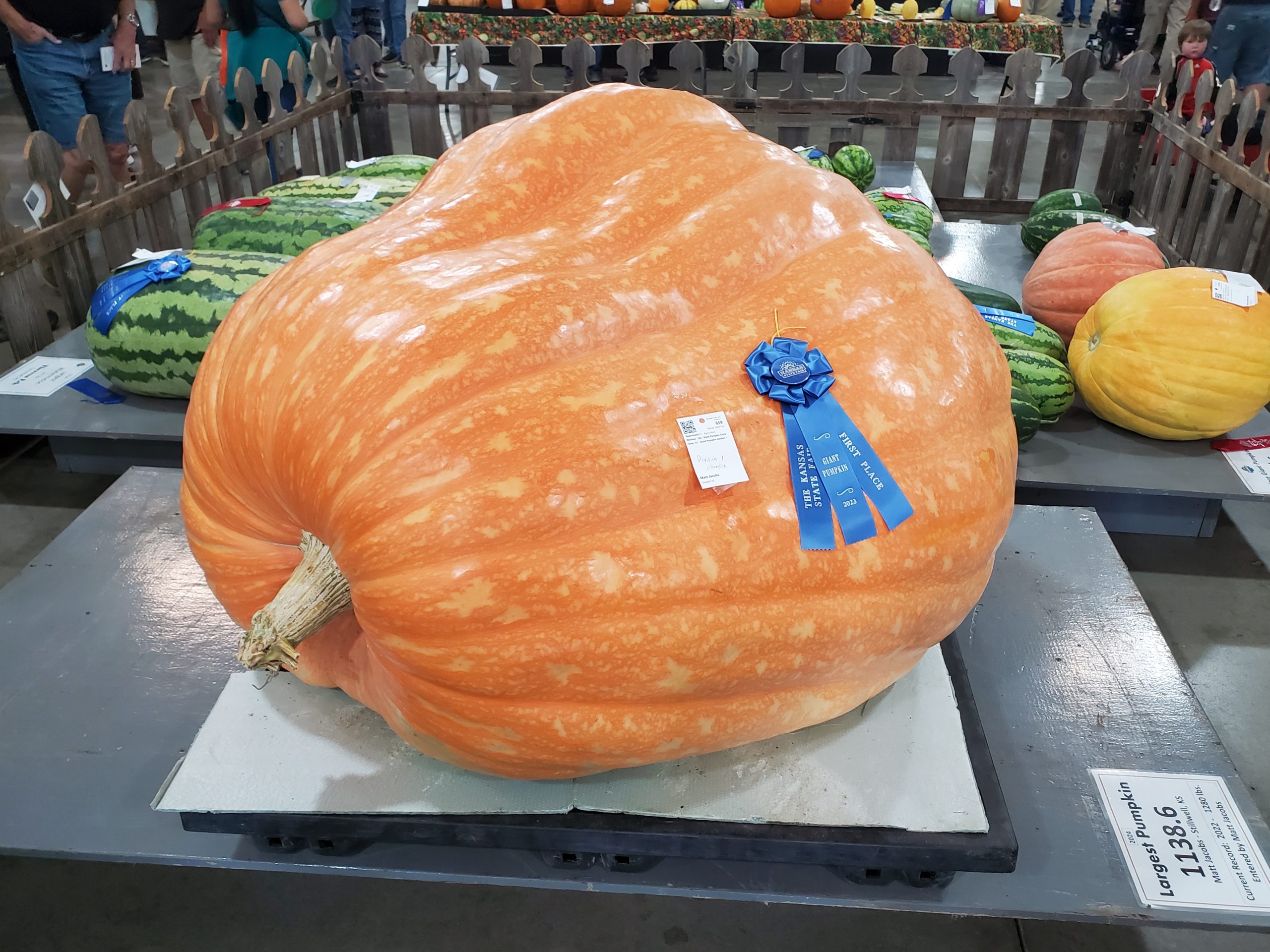 2024 Kansas State Fair - largest pumpkin winner (Photo: Patrick Ary)