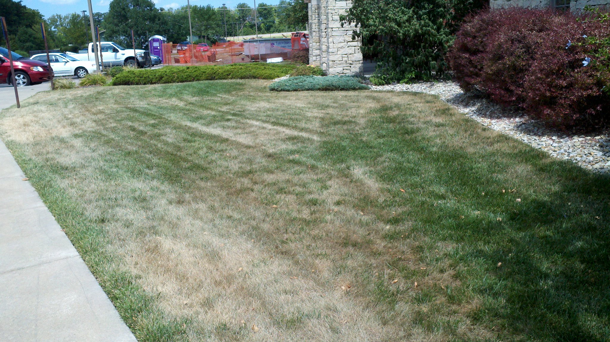 Lawn in summer dormancy from heat, drought stress (Photo: K-State Research and Extension.)