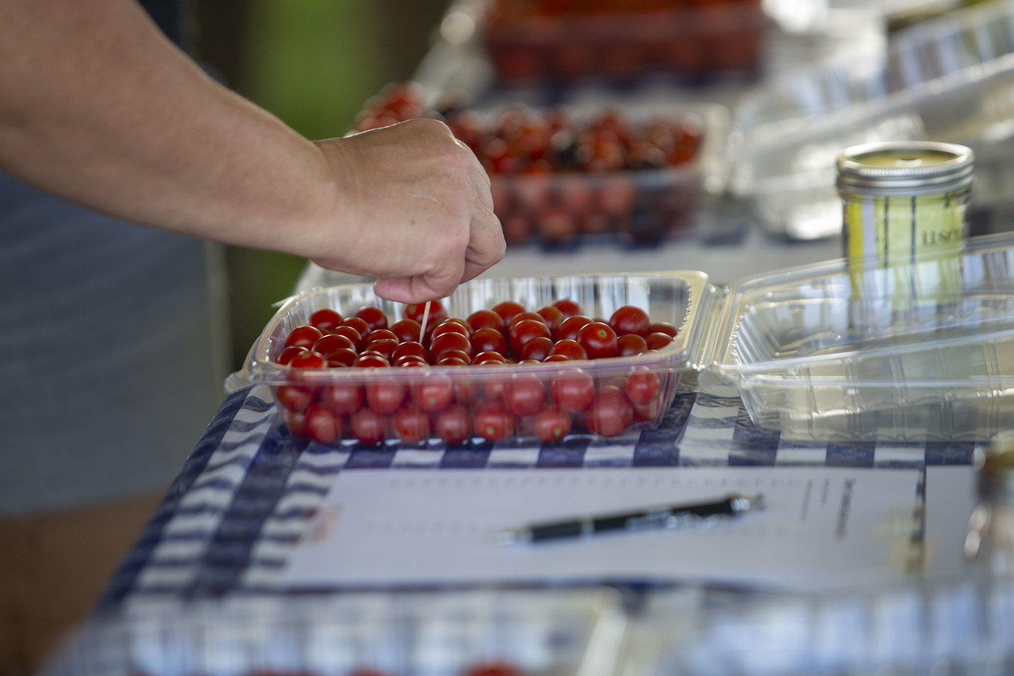 Visitors can sample tomatoes, peppers, salsas and related products Sept. 5 at the MU Tomato Festival in Columbia. (MU file photo)