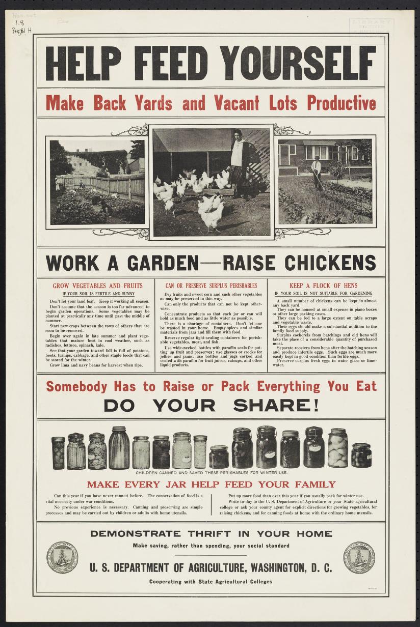 Why is backyard chicken raising so popular? High Plains Journal