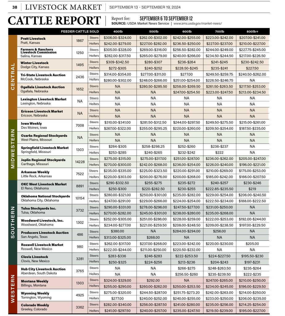 Cattle Report September 13th