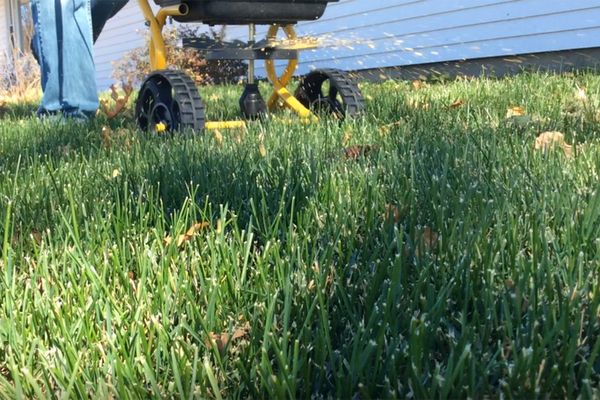 Adding fertilizer is only one way to show a lawn some care after a long, hot summer season fades to fall. (Photo: Chris Enroth, Illinois Extension)