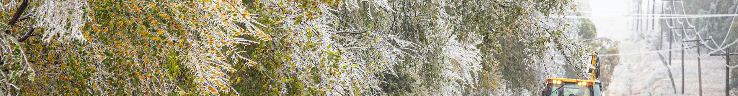 Ice damage from 2020: An early-season ice storm cuts power to neighborhoods and communities in central and western Oklahoma in October 2020. (Photo by Todd Johnson, OSU Agriculture)