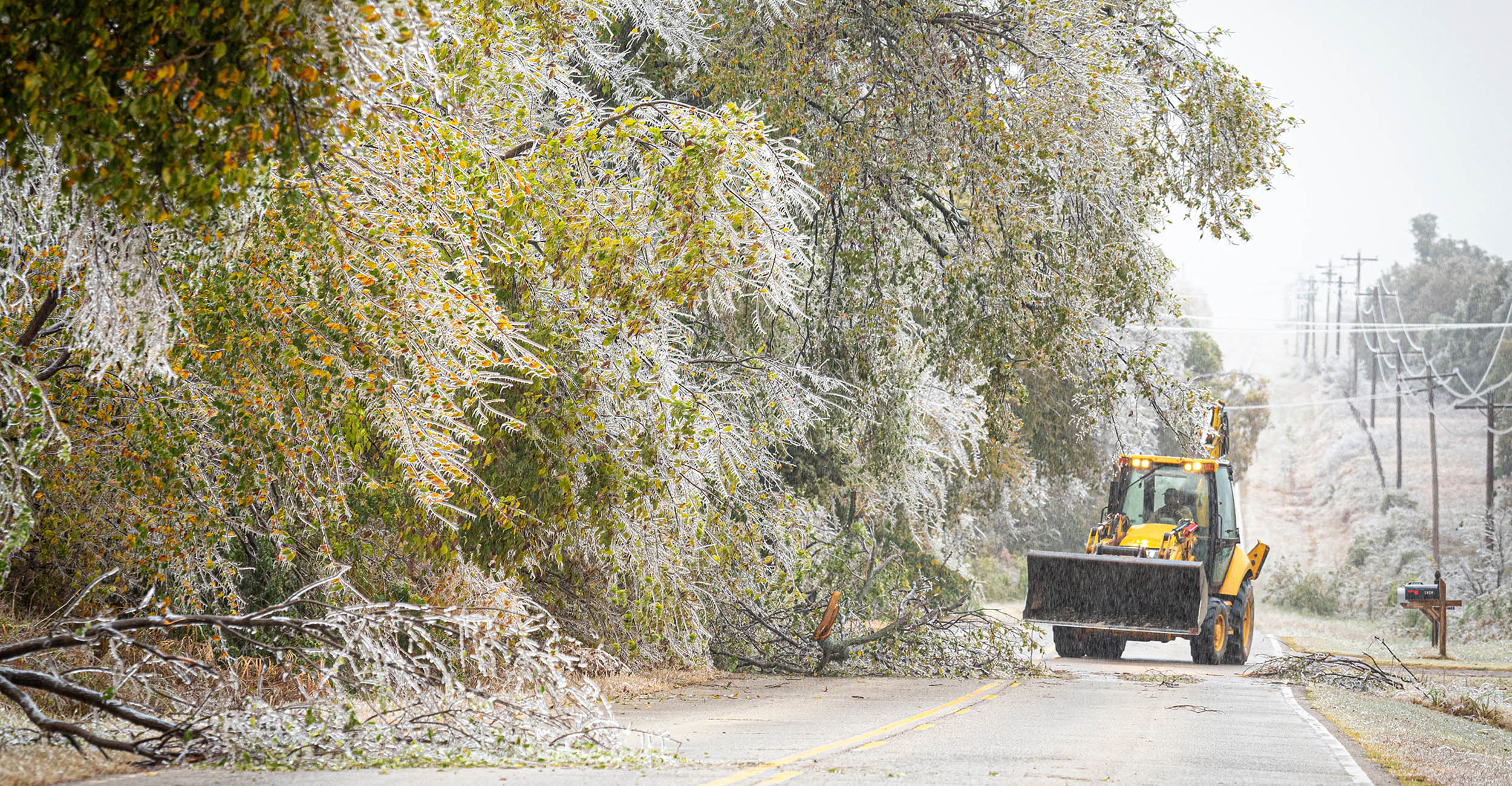 Ice damage from 2020: An early-season ice storm cuts power to neighborhoods and communities in central and western Oklahoma in October 2020. (Photo by Todd Johnson, OSU Agriculture)