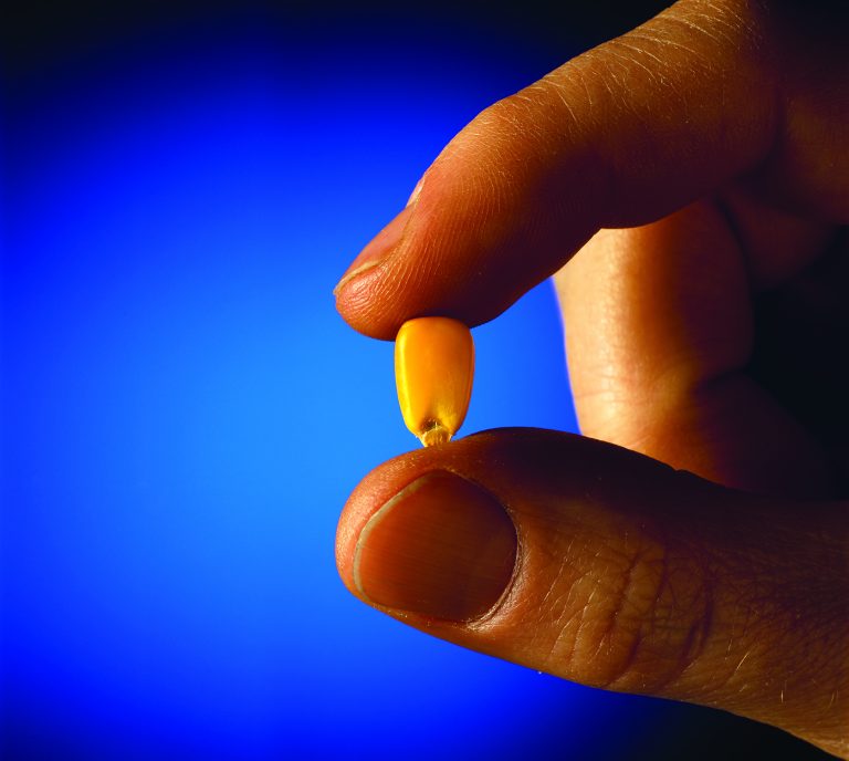 Photo courtesy of Pivot Bio.