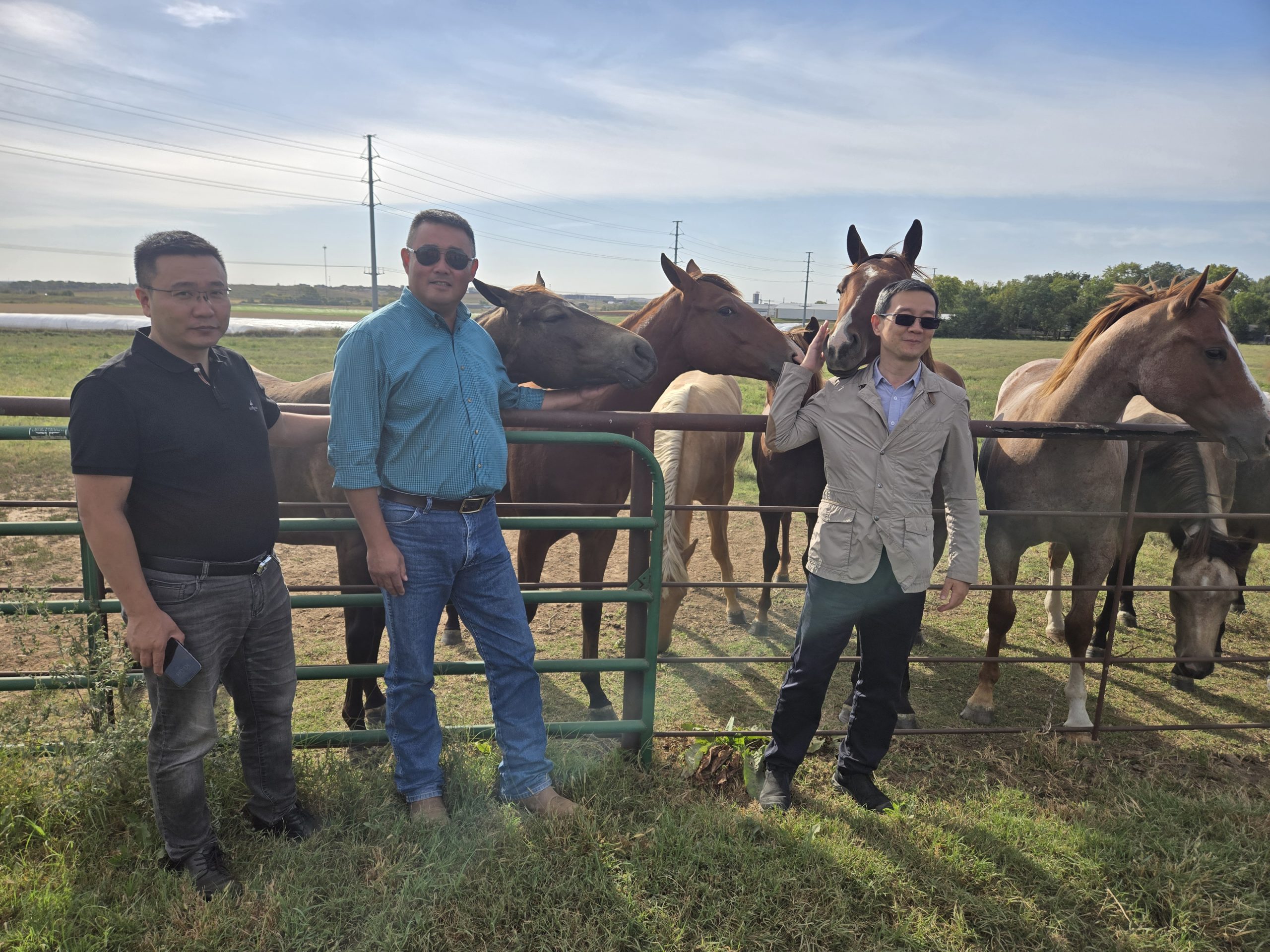 The Kansas Department of Agriculture and the American Paint Horse Association hosted a trade delegation from China in October who visited Kansas and Nebraska to source high-quality horses for the growing equestrian market in China. (Photo courtesy of Kansas Department of Agriculture.)