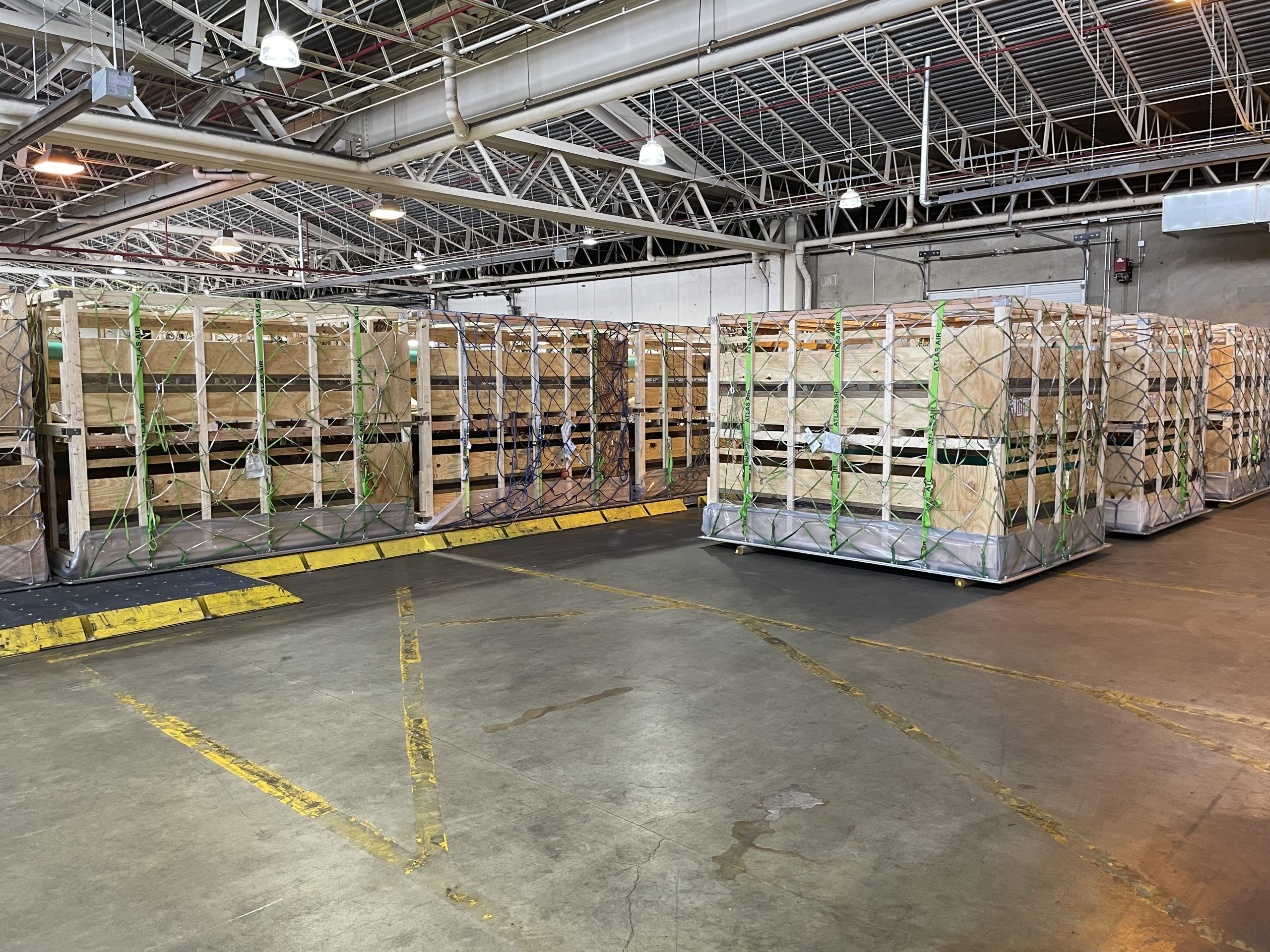 Crated animals await loading at Lambert International Airport’s livestock export facility (Photo courtesy of St. Louis Lambert International Airport.)