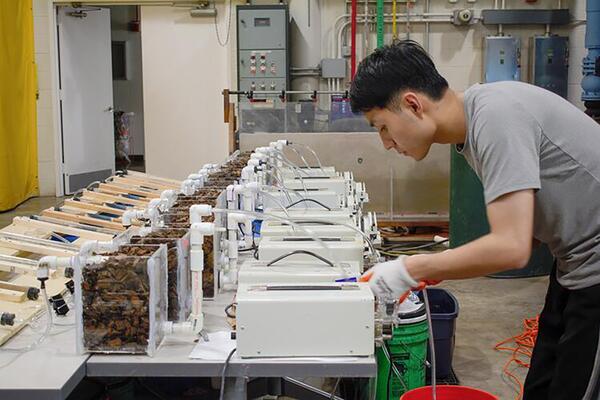 Hongxu Zhou adjusts B2 equipment in the lab (Photo: University of Illinois Urbana-Champaign College of Agricultural, Consumer & Environmental Sciences)