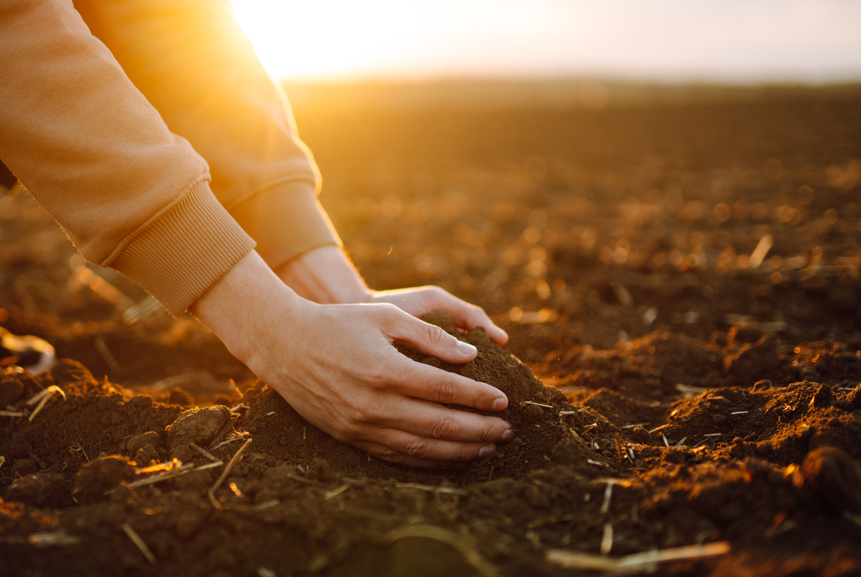 Farmer touching soil on the field. (Photo: iStock - Maksym Belchenko)