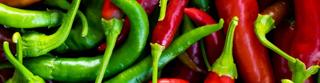 Close up photo of green and red chilli pepper hanging on twig in the farmyard. (Photo: iStock - Vahit Ozalp)