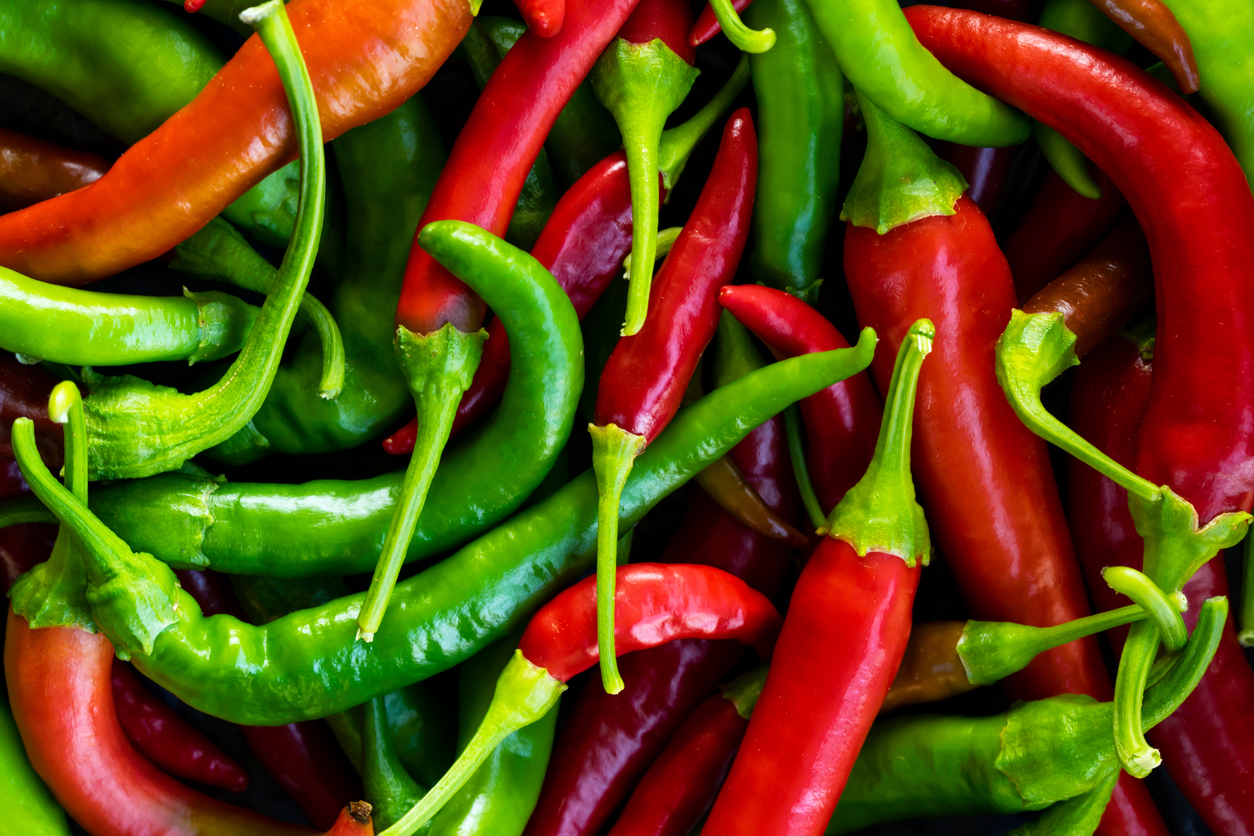 Close up photo of green and red chilli pepper hanging on twig in the farmyard. (Photo: iStock - Vahit Ozalp)