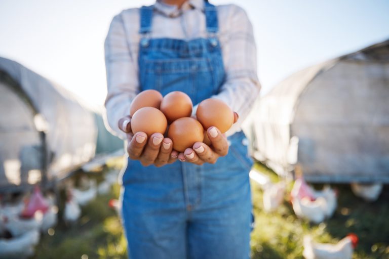 Woman with eggs in hands. (Photo: iStock - Jacob Wackerhausen)