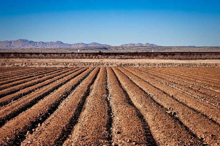 Farmland on the US-Mexico border wall near Fabens, Texas. (PHOTO: iStock - Bill Chizek)