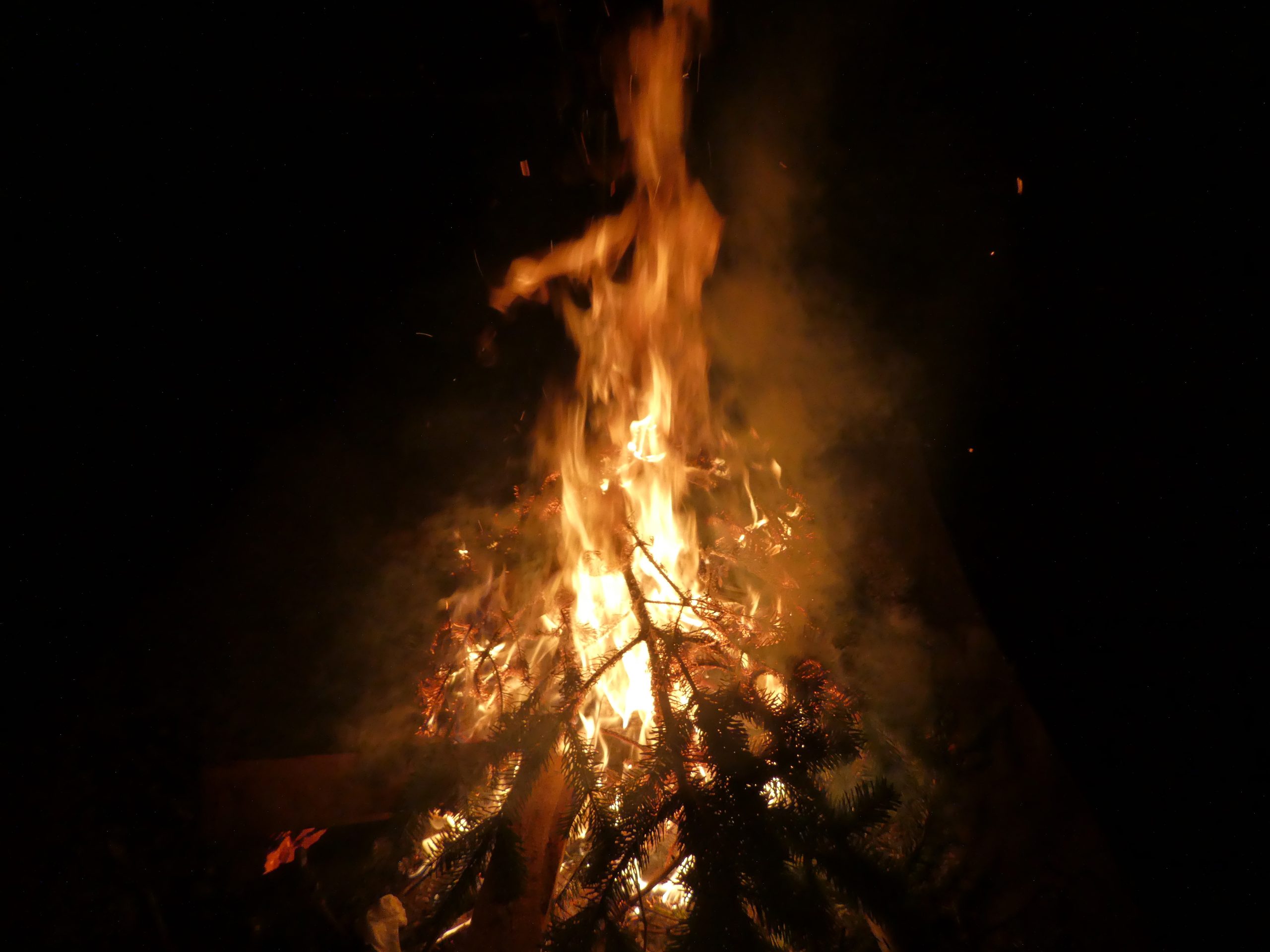 Christmas tree on fire (Photo: Adobe Stock │ #409929529 - Michael Rogner)