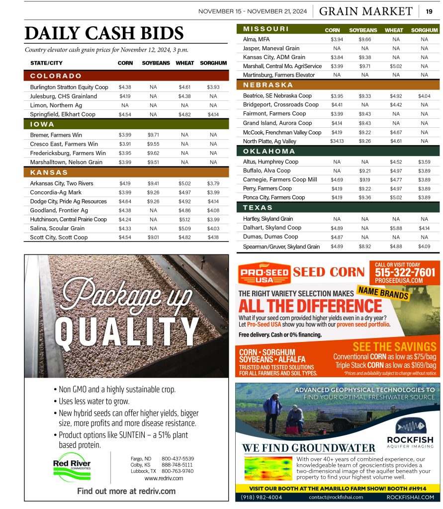 Daily Cash Bids Nov. 12