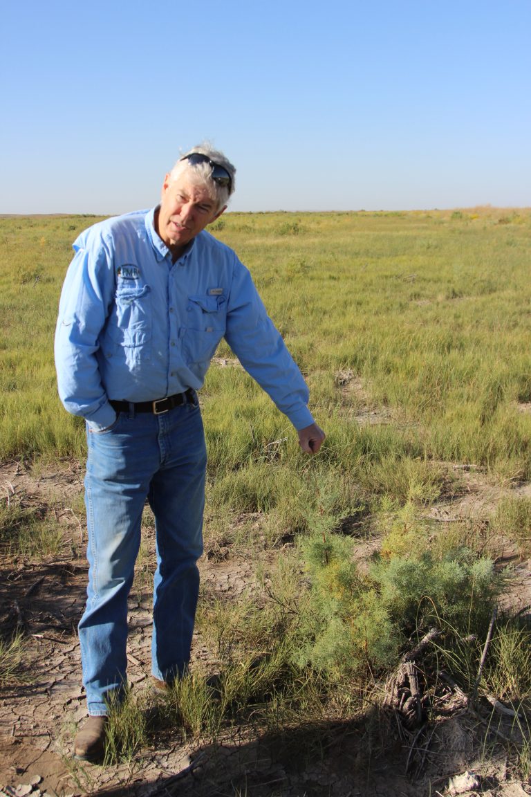 Habitat improvement can also boost bottom line - High Plains Journal