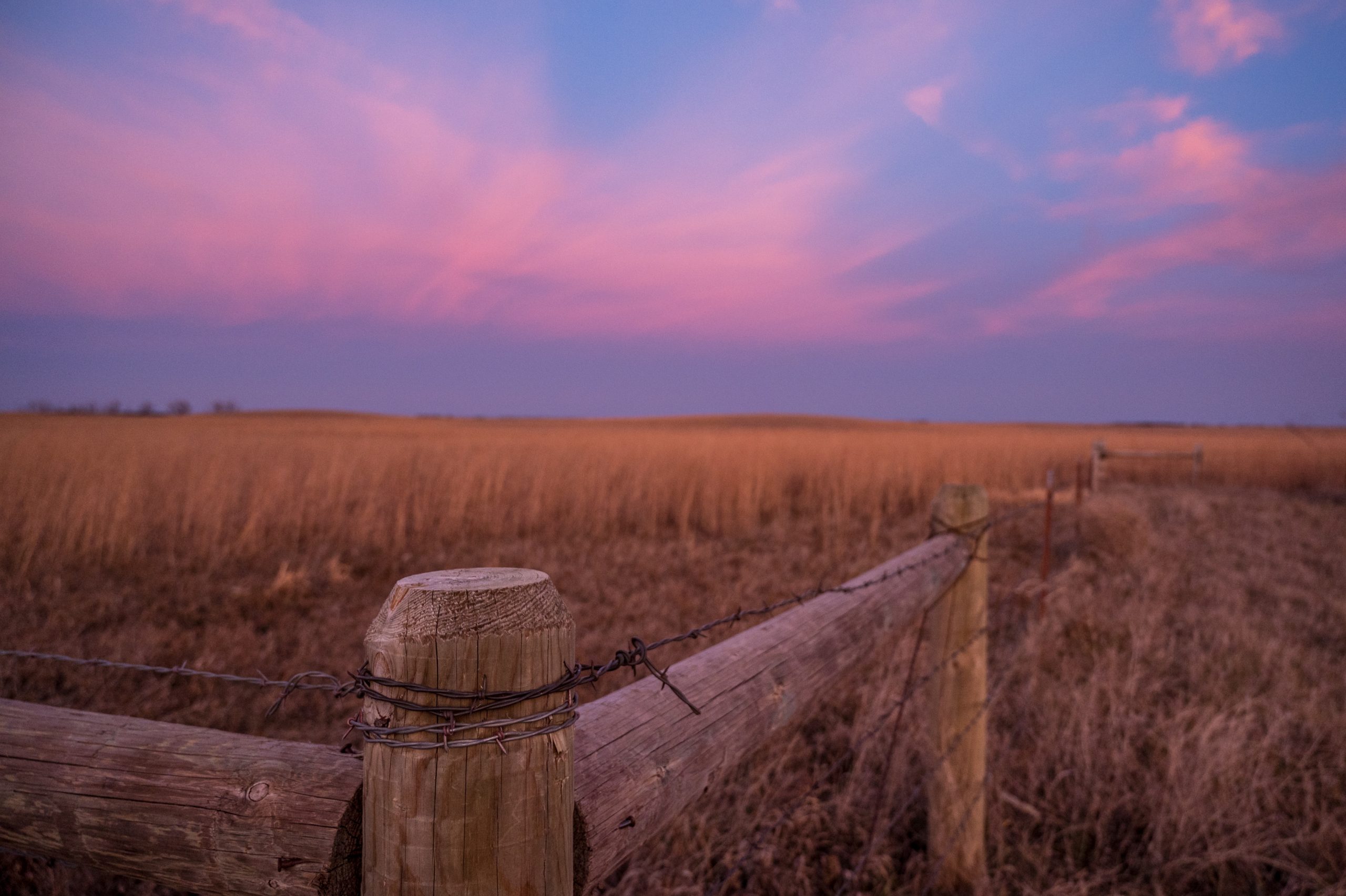 Photo courtesy of Pheasants Forever and Quail Forever.