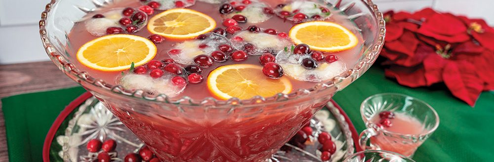 Christmas Cranberry Punch